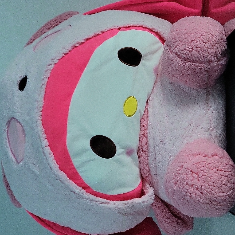 Sanrio plushie